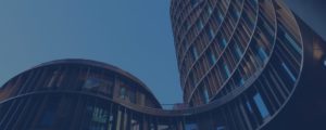 Central Services and Multi-Site Integration: A Key Driver of ERP Acquisition