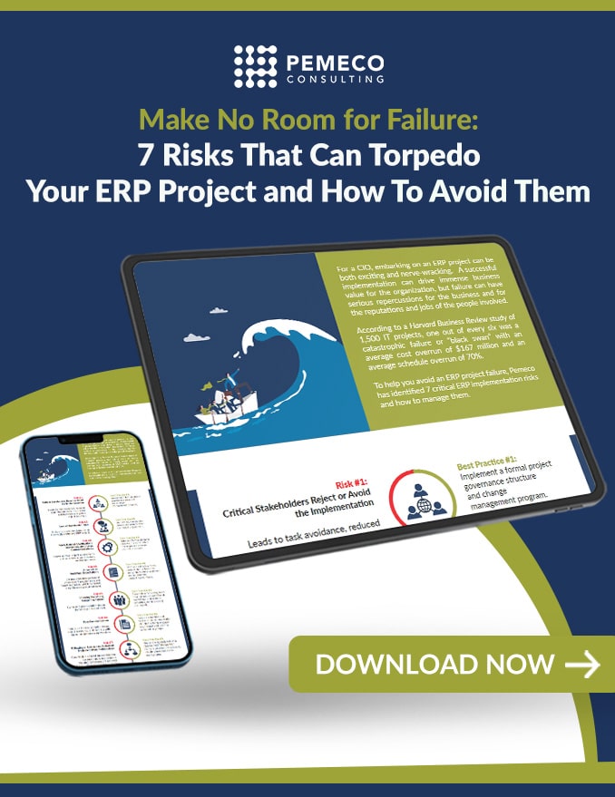 Pemeco Consulting's Make No Room for Failure: 7 Risks That Can Torpedo Your ERP Project and How to Avoid them resource