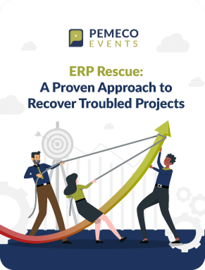 Project Rescue Services Project Rescue - Pemeco Consulting